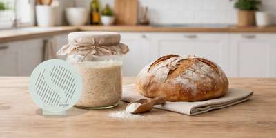 Sourdough fermentation